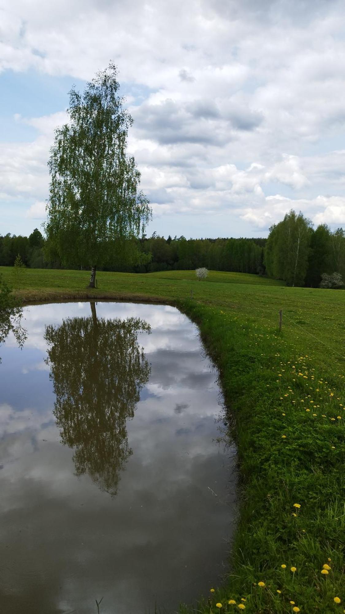 Guesthouse, Sauna & Jacuzzi In Gauja Valley - Kakukalns Straupe Bagian luar foto