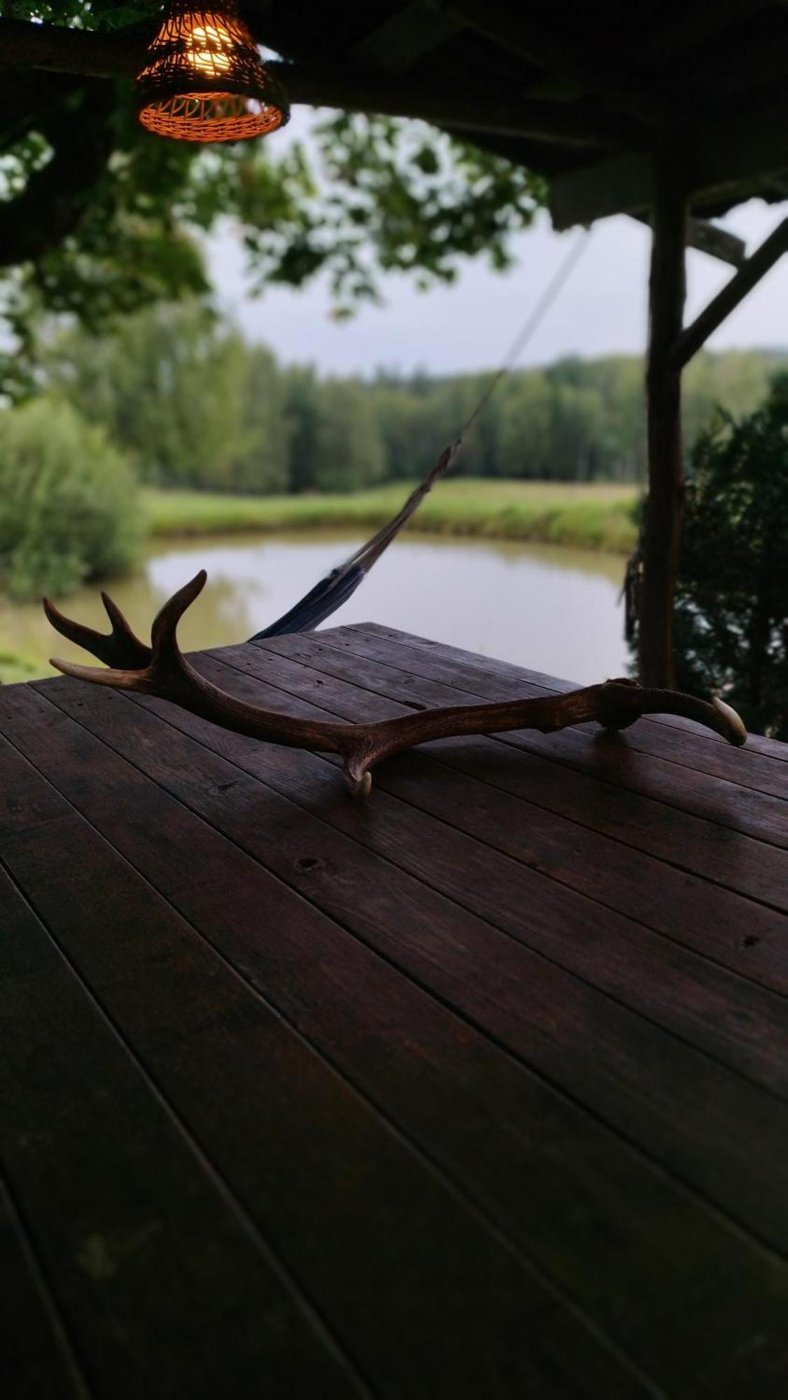 Guesthouse, Sauna & Jacuzzi In Gauja Valley - Kakukalns Straupe Bagian luar foto