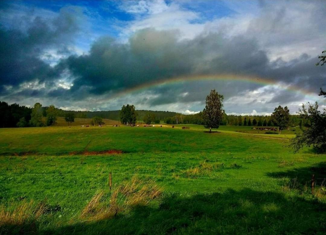 Guesthouse, Sauna & Jacuzzi In Gauja Valley - Kakukalns Straupe Bagian luar foto